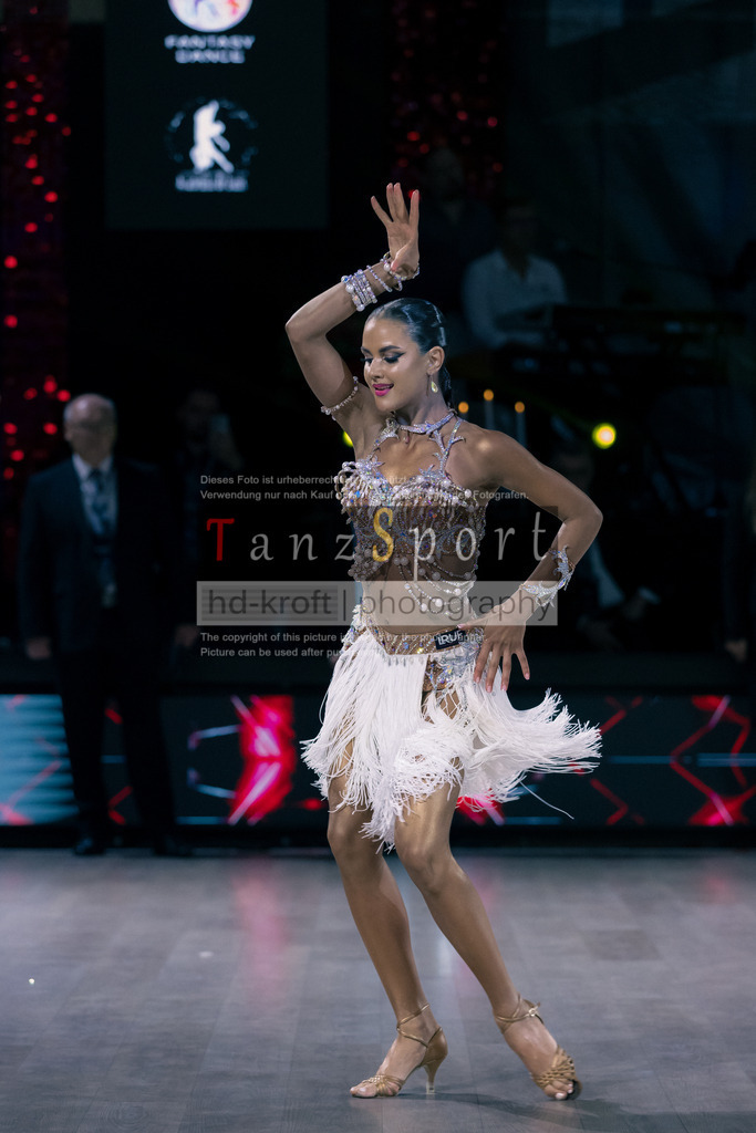 IMG_8545 | Tanzsportbilder, Standardtanz, Lateintanz, WDSF, DTV, LTVB, dancecomp, goc, hessen tanzt, blaues band der spree, walzer, tango, wiener walzer, slowfox, quickstepp, samba, rumba, cha-cha-cha, paso doble. jive, hd-kroft photography, turniertanzsport