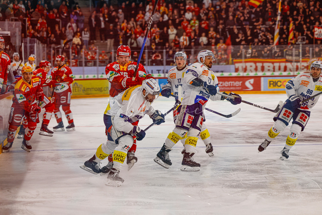 EHCB vs HCAP 20260115_wb-4177 | Sportbilder, Sportfotograf, Hochzeits- und Eventfotografin, Flugshows, Portraits und Tiershooting, Aviation, Downhill, Nationalleague, Swissleague, International