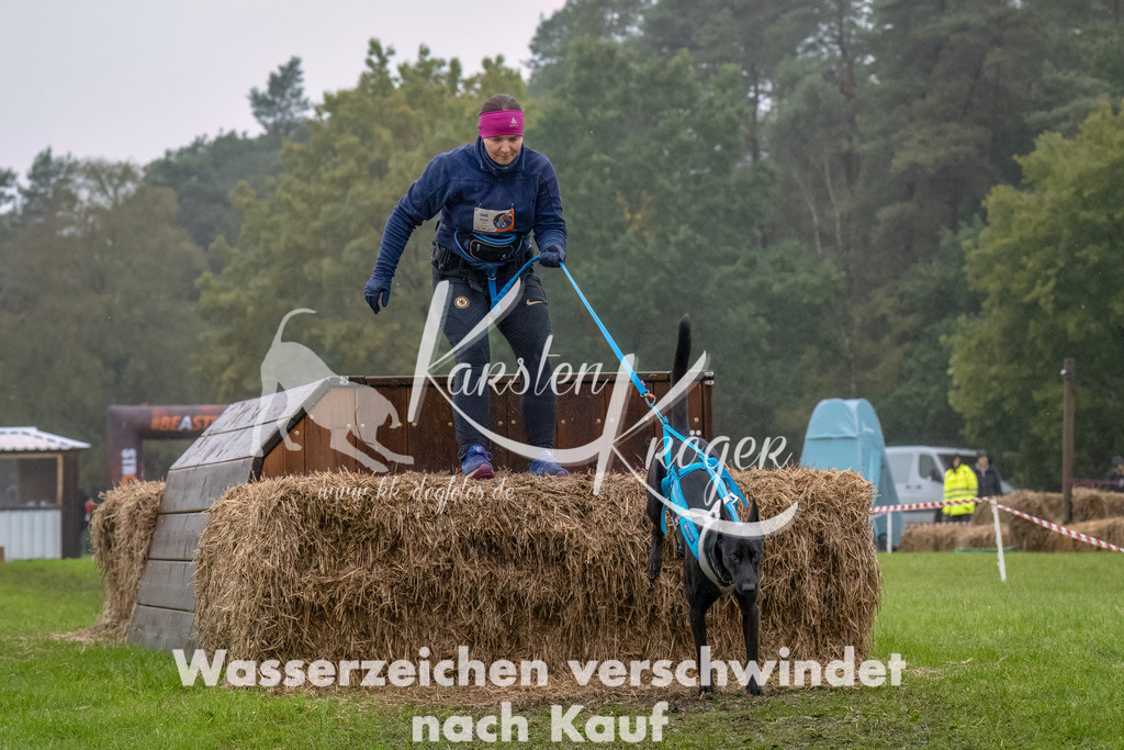 1249--3 | kk-dogfotos