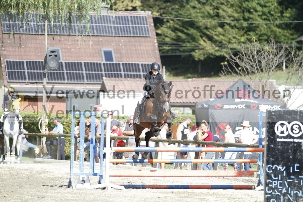 _MG_3663 | equestrian-live-com