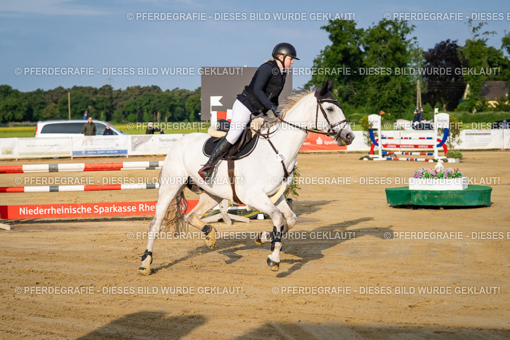 DSC01984 | Pferdegrafie