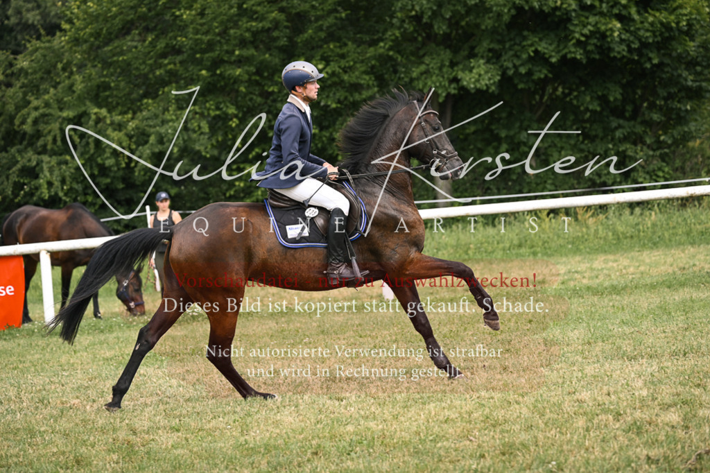 DSC_0638 | Pferde- und Turnierfotografie in Westsachsen. Pferdeportraits, Auftragszeichnungen und intuitive Kunst.