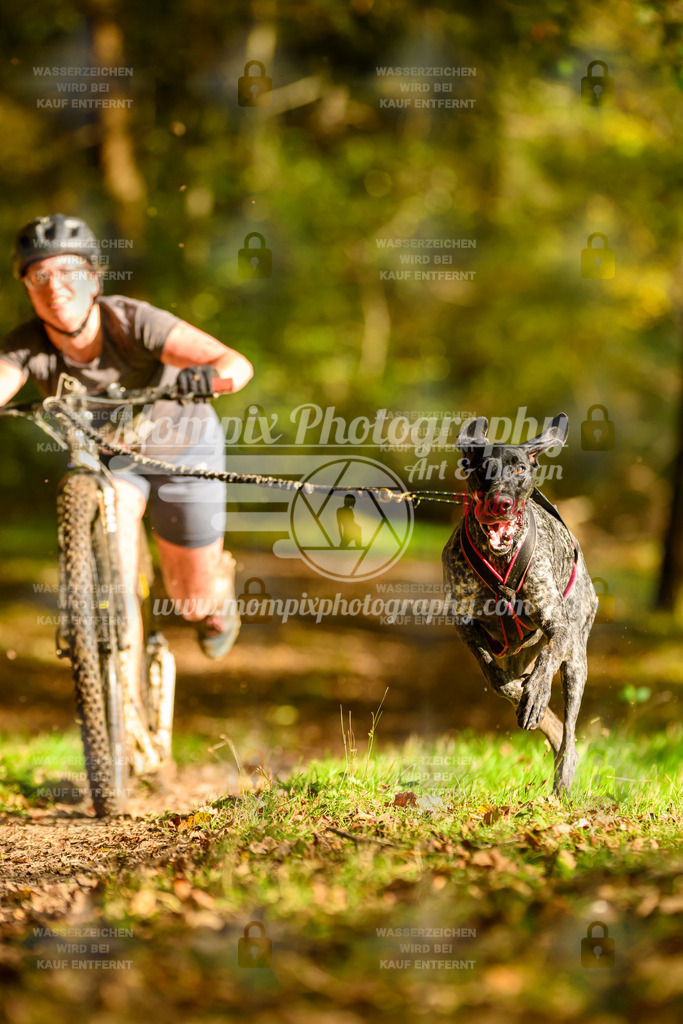 MompixPhotography_20TSB_E1_DS1-23 | PayLife