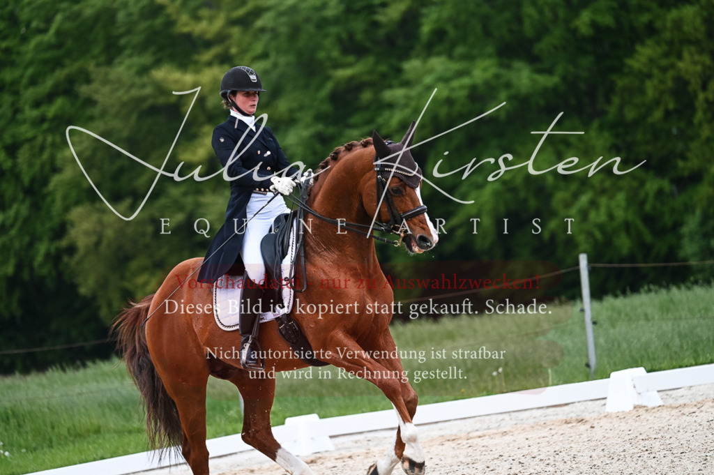 20230513_JK-Röhrsdorf-13-604 | Pferde- und Turnierfotografie in Westsachsen. Pferdeportraits, Auftragszeichnungen und intuitive Kunst.