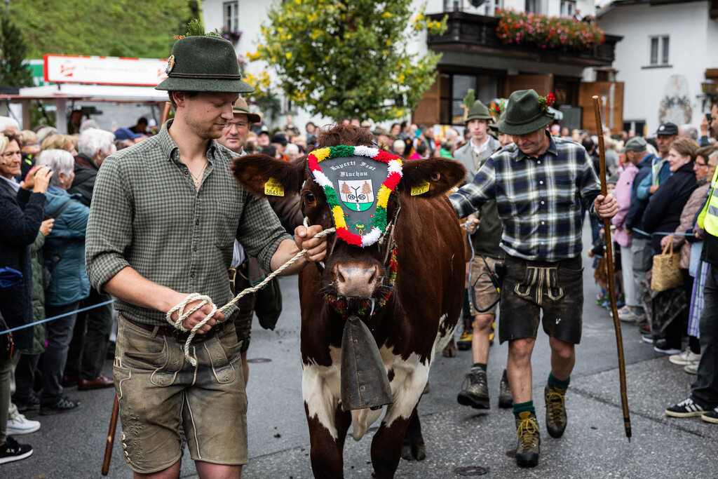 Rupertifest_Flachau_2k25_Webauflösung-337 | Bildershop Chri Fischbacher - Realisiert mit Pictrs.com