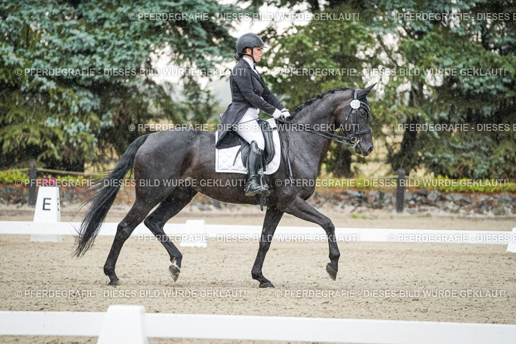 DSC08277 | Pferdegrafie