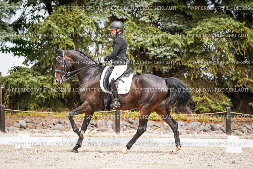 DSC05663 | Pferdegrafie