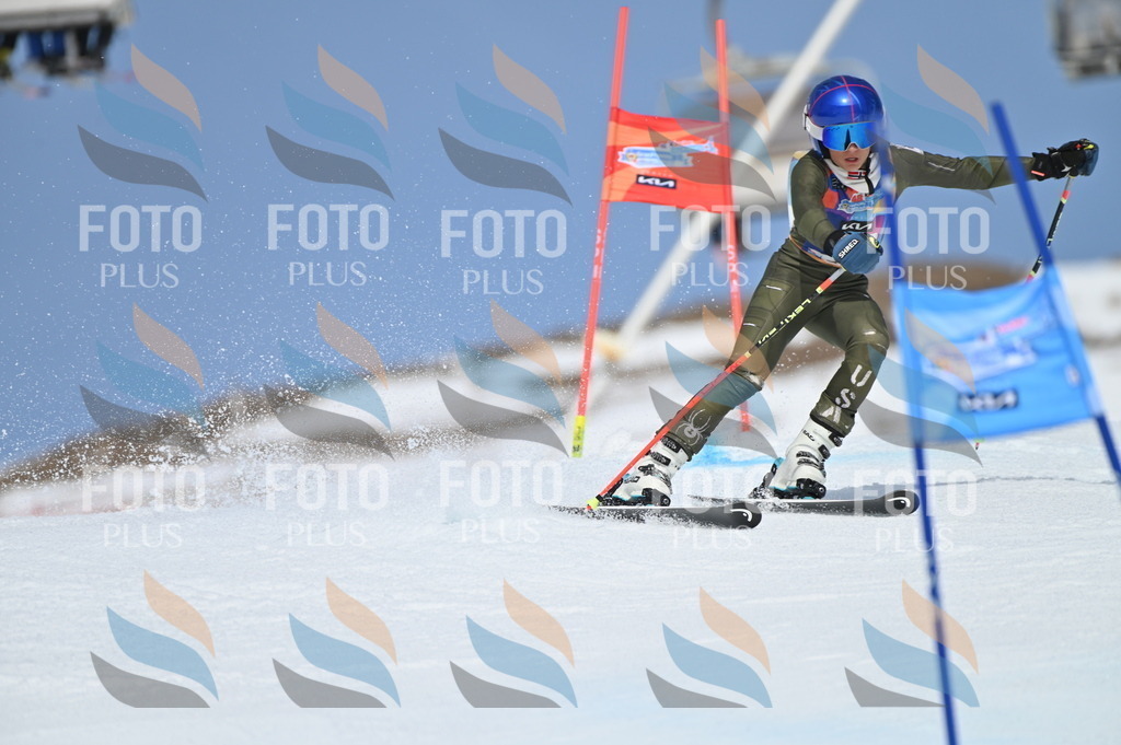 BGV_0917 | holidayphoto