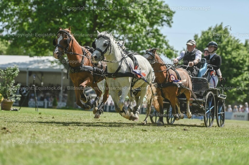 20230528_Jump-and-Drive_0285 | equistock