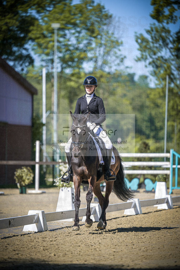 DOS_4976 | Entdecke hochwertige Reitturnierfotos von Foto Oger. Professionell, emotional und authentisch – jetzt Lieblingsmomente im Shop bestellen.Deutschlandweite Turnierfotografie. - Realisiert mit Pictrs.com