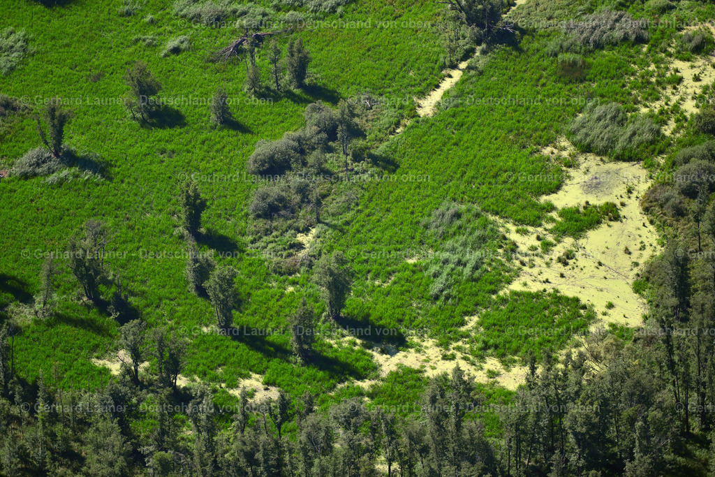 3637296 | VETSCHAU SPREEWALD 25.08.2016 Grasflächen- Strukturen einer Wiesen- und Feld Landschaft in der Auen- Niederung des Spreewald in Vetschau Spreewald im Bundesland Brandenburg, Deutschland. // Grassland structures of a meadow and field landscape in the lowland of Spreewald in Vetschau Spreewald in the state Brandenburg, Germany. Foto: Gerhard Launer