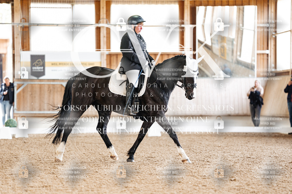 CK909106 | Turnierfotografie Pferdefotografie Trier Rheinland-Pfalz Pferdesport Reitsport Tierfotografie Sportfotografie Pferdevideo Pferdevideografie Equestrianvideography equestrianphotography  - Realized with Pictrs.com