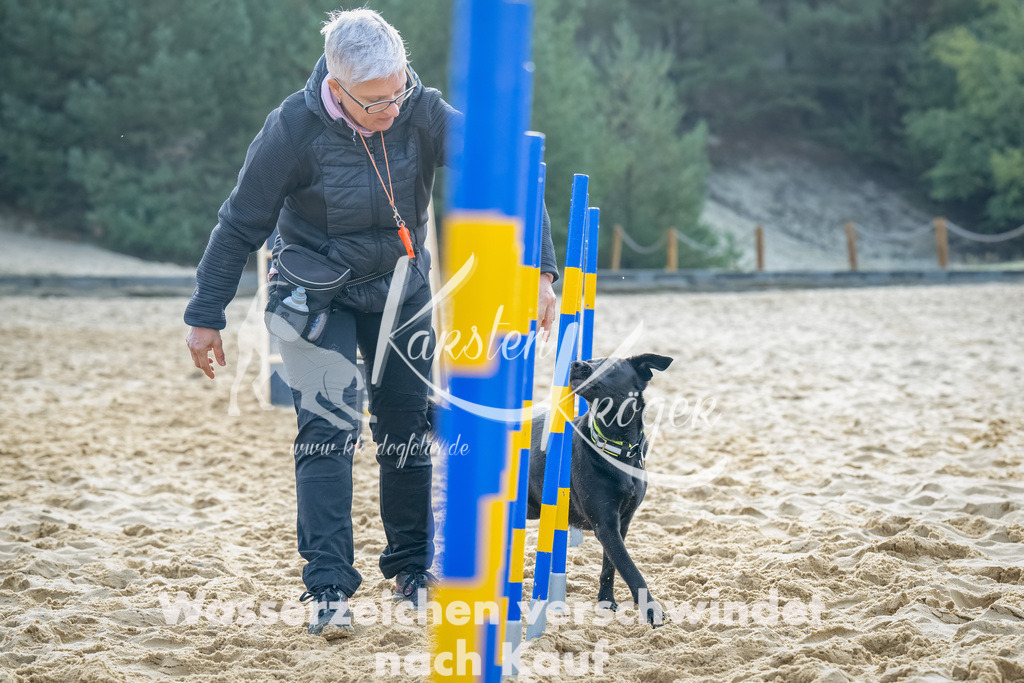 0902_ZZ91744-Bearbeitet | kk-dogfotos