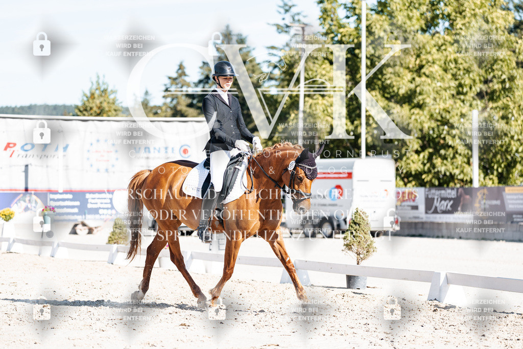 CK907866 | Turnierfotografie Pferdefotografie Trier Rheinland-Pfalz Pferdesport Reitsport Tierfotografie Sportfotografie Pferdevideo Pferdevideografie Equestrianvideography equestrianphotography  - Realisiert mit Pictrs.com