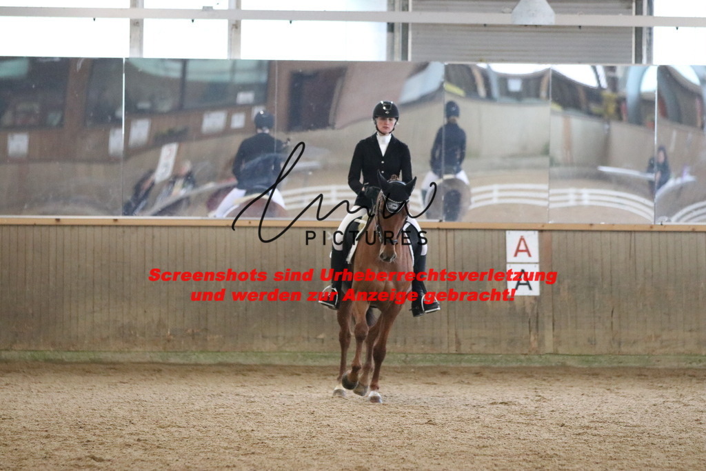 IMG_6567 | lmwpictures - Realisiert mit Pictrs.com