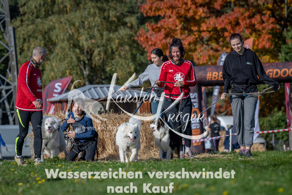 1051_ZZ91752 | kk-dogfotos