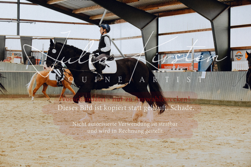 DSC_7249 | Pferde- und Turnierfotografie in Westsachsen. Pferdeportraits, Auftragszeichnungen und intuitive Kunst.