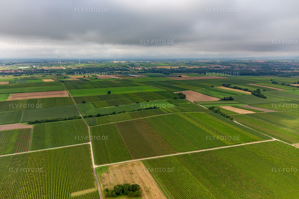 Luftbild: Teifen Tal unter niedriger Wolkendecke im Ortsteil Mühlhofen in Billigheim-Ingenheim im Bundesland Rheinland-Pfalz in Deutschland. Foto: IMG_143022.jpg vom 03.08.2024 durch Werner Riehm/FLY-FOTO.de