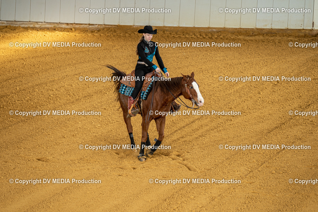 MIT00795 | dv-media-shop - Realisiert mit Pictrs.com