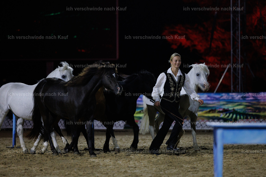 FHClassics-248 | working equitationturnier fotograf videograf stoibphotography marixx film working equitation deutschland reitsport turnierfotografie eventfotografie equestrian events