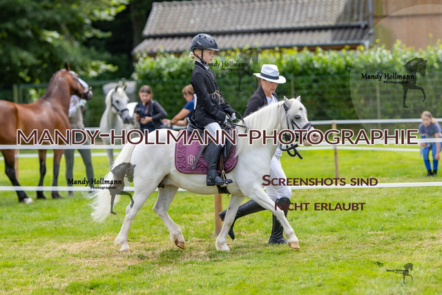 IG WELSH M 2024-183 | mandyhollmannphotographie