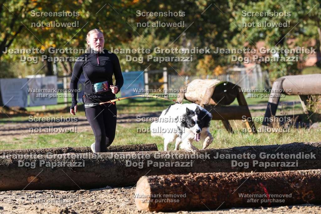 Dog Paparazzi - Strongdog 10-25-1766 | Dog Paparazzi Jeanette Grottendiek Fotografie & Videografie - Realisiert mit Pictrs.com