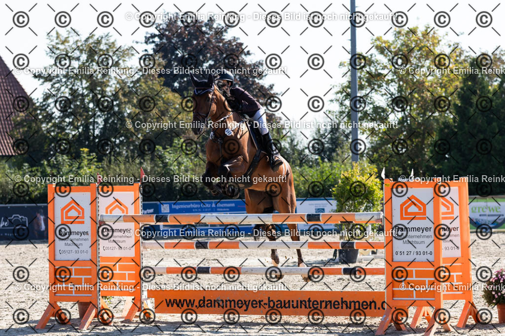 CL5A7531 | Emilia Reinking Fotografie - Realisiert mit Pictrs.com