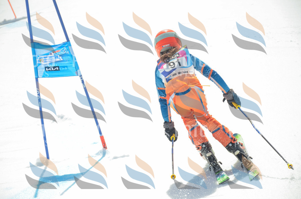 _ELE5679 | holidayphoto