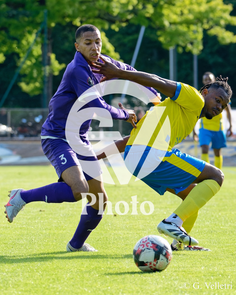 DSC_0695 | Velletri Photo