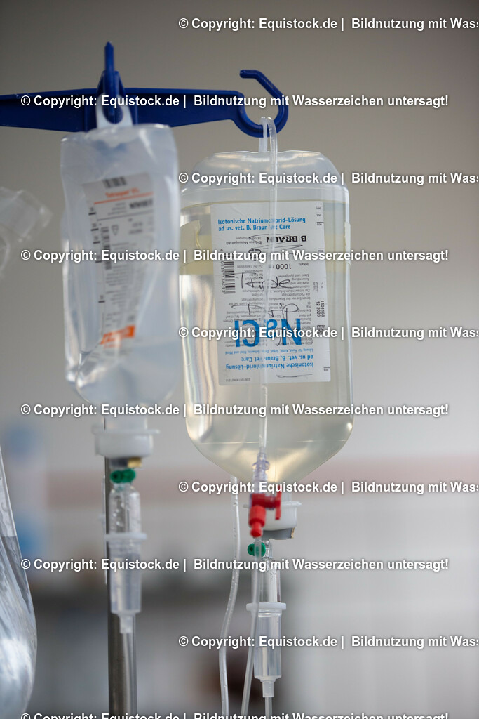 20191022_Kolik_OP_0120 | equistock