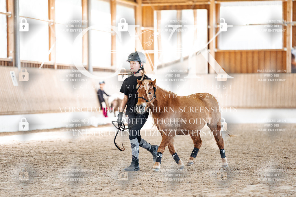 CK906973 | Turnierfotografie Pferdefotografie Trier Rheinland-Pfalz Pferdesport Reitsport Tierfotografie Sportfotografie Pferdevideo Pferdevideografie Equestrianvideography equestrianphotography  - Realisiert mit Pictrs.com