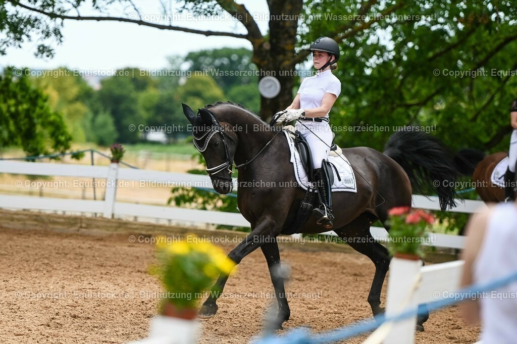 20230715_05_Dressurprüfung Kl.A++_0319 | equistock