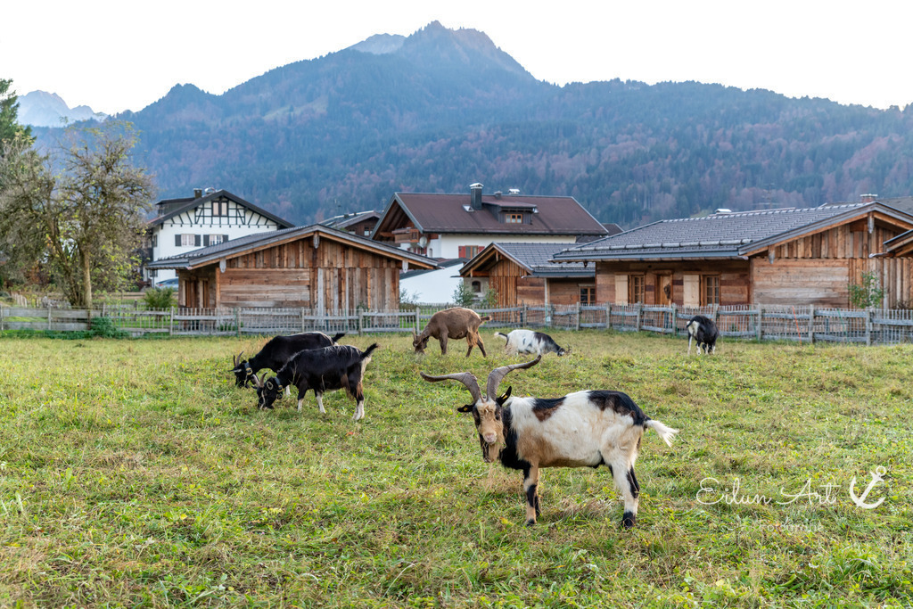 20241029-EAF_5173 | Eilun-Art-Fotografie Levke Martens, ihre Fotografin für Immobilien- und Landschaftsfotografie auf Föhr, Föhrer Motive als Poster, Leinwand, hinter Acrylglas oder stelle dir deinen eigenen Monatskalender zusammen, mit nur einem Klick