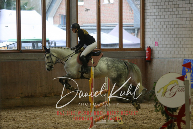 IMG_0814 | Deine Turnierfotos vom Reitturnier online kaufen: Dressur, Springen & Siegerehrung. Professionelle Pferdefotografie aus dem Rheinland – als Download & Print.Alternative: Turnierfotograf für den Pferdesport: Finde deine Fotos von Dressur- und Springturnier