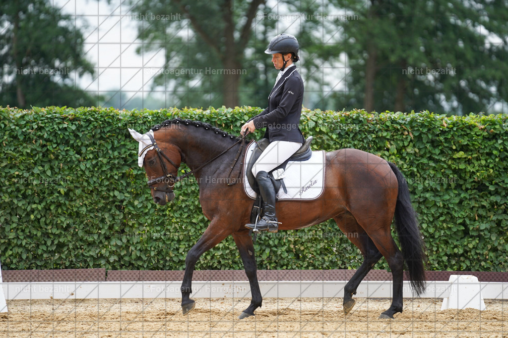 20240630-FAH00901 | Turnierbilder Schwabmünchen, Dressurbilder, Springreitturnier, Reitsportbilder, Turnierfotografen Bayern, Turnierfotograf