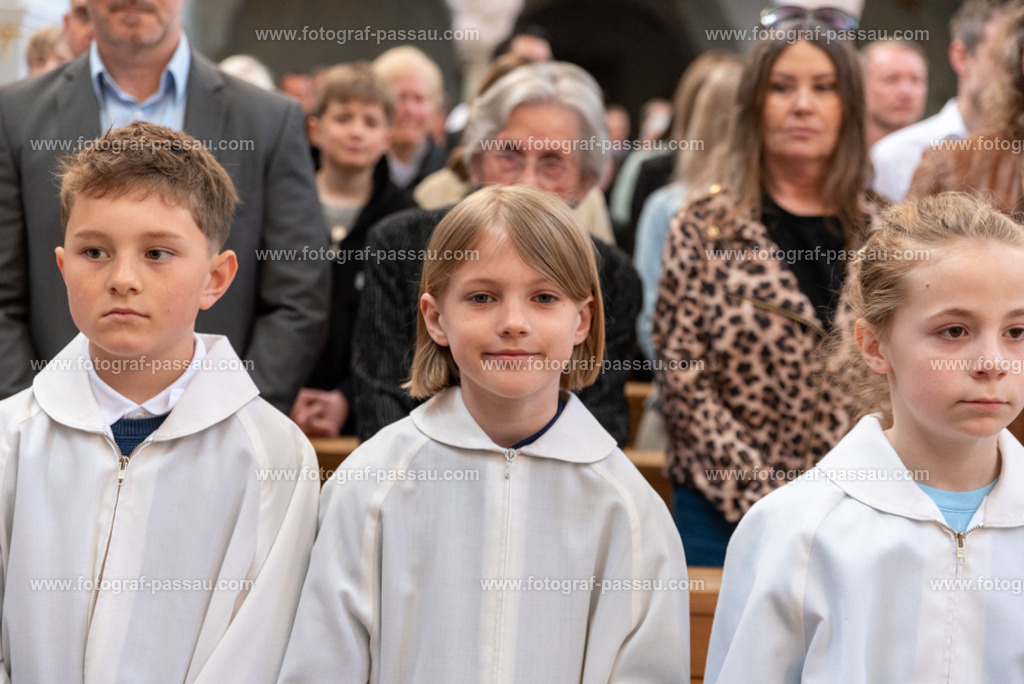 _DSC2624 | Hier finden Sie die Online Foto-Galerie von fotograf-passau.com und marius-handrugan.de. Suchen Sie sich direkt Ihre Lieblingsbilder aus, ob als Ausdruck oder Download. - Realisiert mit Pictrs.com