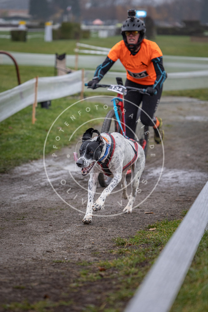 CaniXpix_0L8A0897 | Hundefotografie, Tierfotograf, Pfotenfotografie, Fotoshooting Hund, Hunde Portrait, Hundesport, Hundeportraits, Heideshooting, Hunde, Sportfotograf, Hundefotograf, Turnierhundsport, THS,  - Realisiert mit Pictrs.com