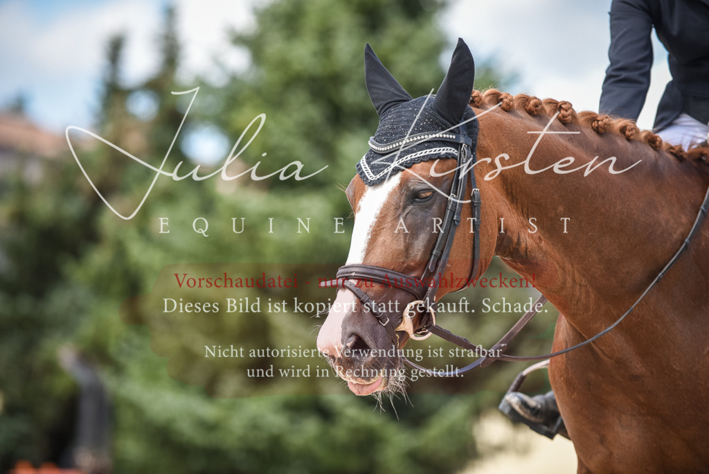 DSC_9355 | Pferde- und Turnierfotografie in Westsachsen. Pferdeportraits, Auftragszeichnungen und intuitive Kunst.