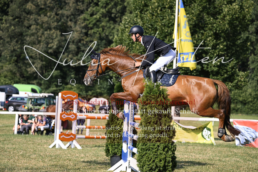 DSC_1482 | Pferde- und Turnierfotografie in Westsachsen. Pferdeportraits, Auftragszeichnungen und intuitive Kunst.