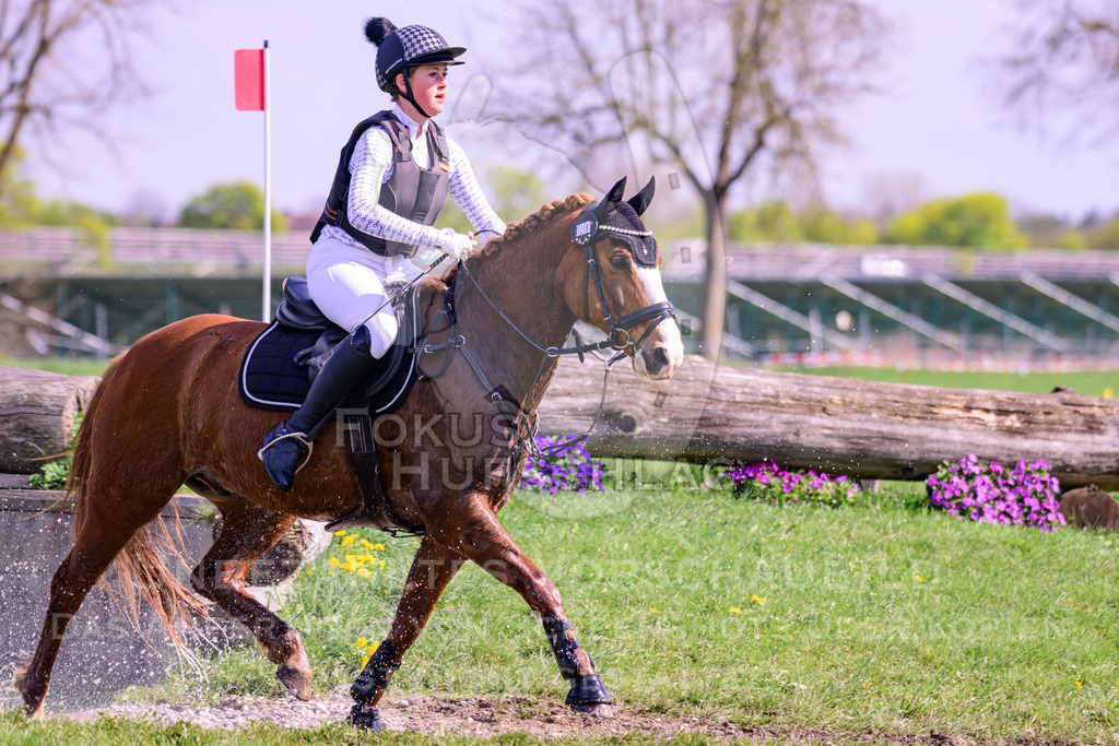 18042026-Gernlinden-04-1-0172 | Fokus Hufschlag Fotografie - Realisiert mit Pictrs.com