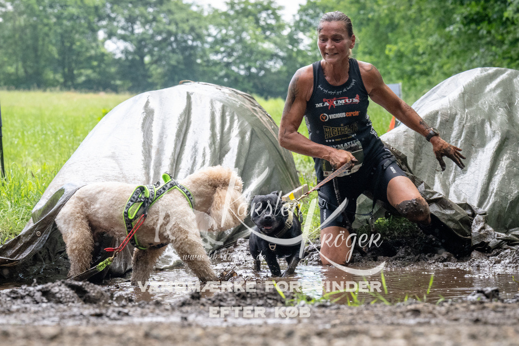 1106_ZZ91508 | kk-dogfotos