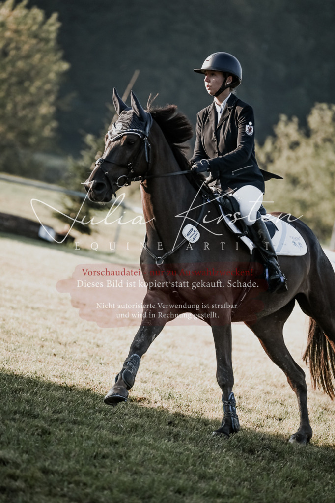 DSC_3815 | Pferde- und Turnierfotografie in Westsachsen. Pferdeportraits, Auftragszeichnungen und intuitive Kunst.