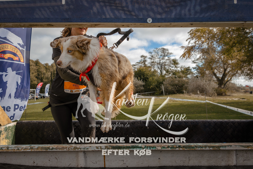 1335_ZZ91500-2 | kk-dogfotos