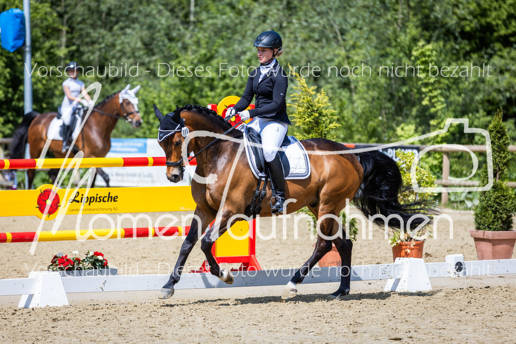 Donop24-L-Dre-106 | MomenTaufnahmen Pferdesportfotos