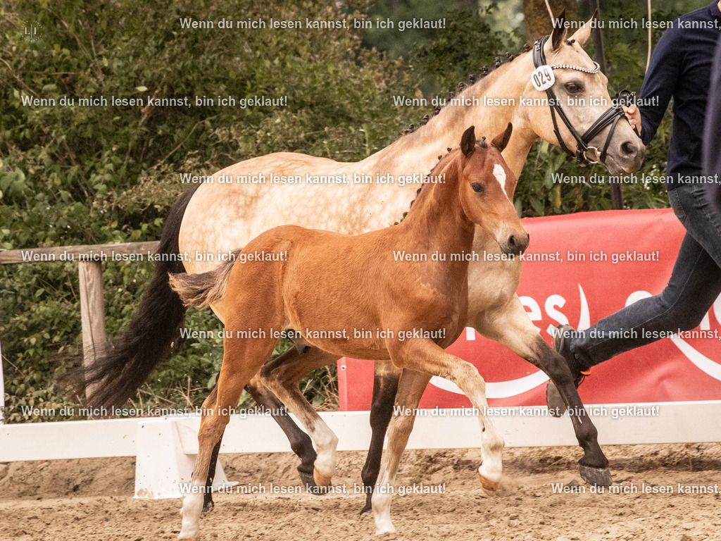 A10I2241 15.54.45 | photographylinaismer - Realisiert mit Pictrs.com