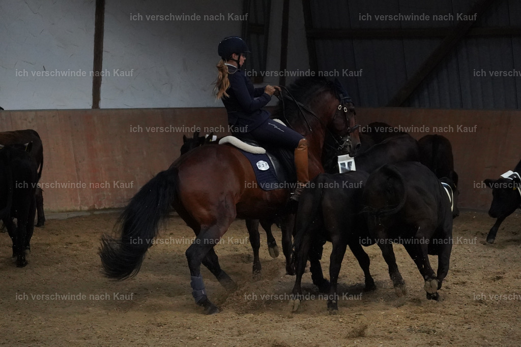 KlasseS_Lucie (6) | working equitationturnier fotograf videograf stoibphotography marixx film working equitation deutschland reitsport turnierfotografie eventfotografie equestrian events
