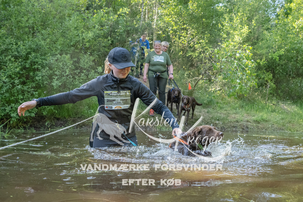 1709DKK991688 | kk-dogfotos