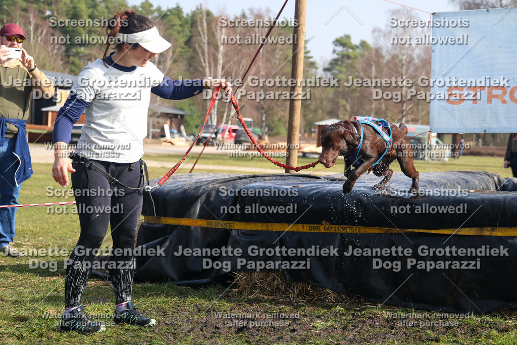 Dog Paparazzi - Strongdog North Mrz26-1646 | Dog Paparazzi Jeanette Grottendiek Fotografie & Videografie - Realisiert mit Pictrs.com
