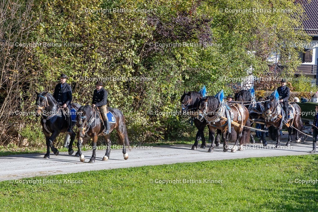 LBT24-860 | foto-bettina-krinner - Realisiert mit Pictrs.com