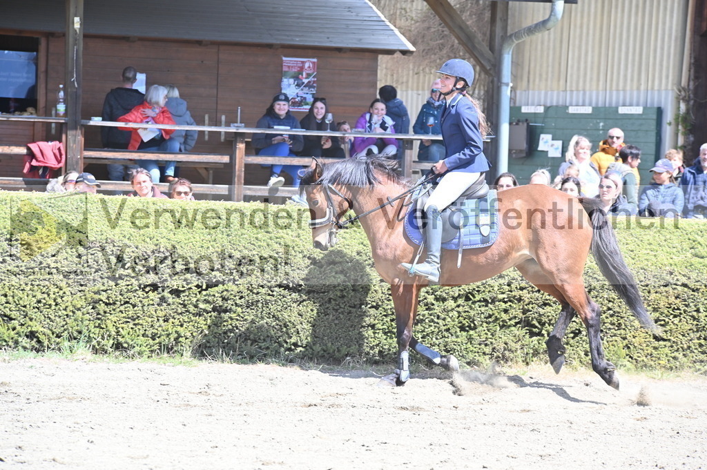 DSC_4818 | equestrian-live-com